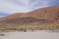 
DSC00293